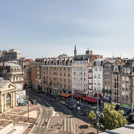 Rosa 3* Lille